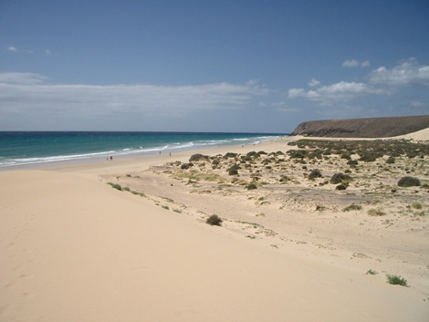 beach sand dunes. View from a sand dune