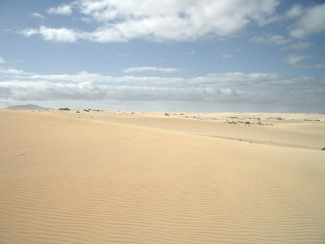 Dünengebiet El Jable bei Corralejo