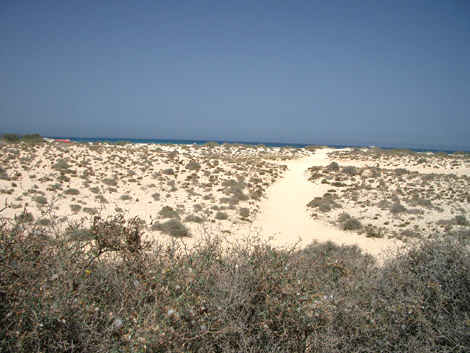Path from the road to the beach