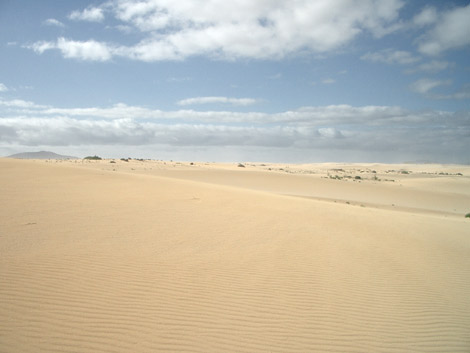 Dünen bei Corralejo auf Fuerteventura