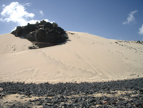 View of the dune
