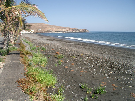 Strand von Tarajalejo