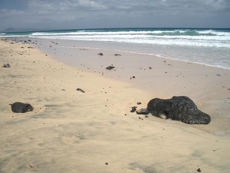 El Salmo beach