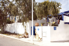 Casa Estrella auf Fuerteventura