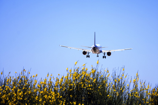 Flugzeug