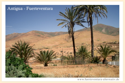 Fuerteventura greeting card