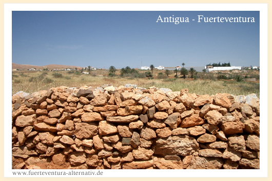 Fuerteventura greeting card