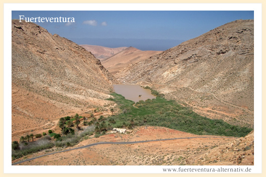 Fuerteventura greeting card