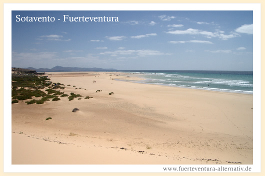 Fuerteventura greeting card